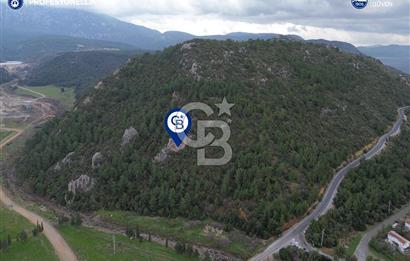 Karaburun Küçükbahçe'de Yerleşim Alanında 23.157 m2 Tarla