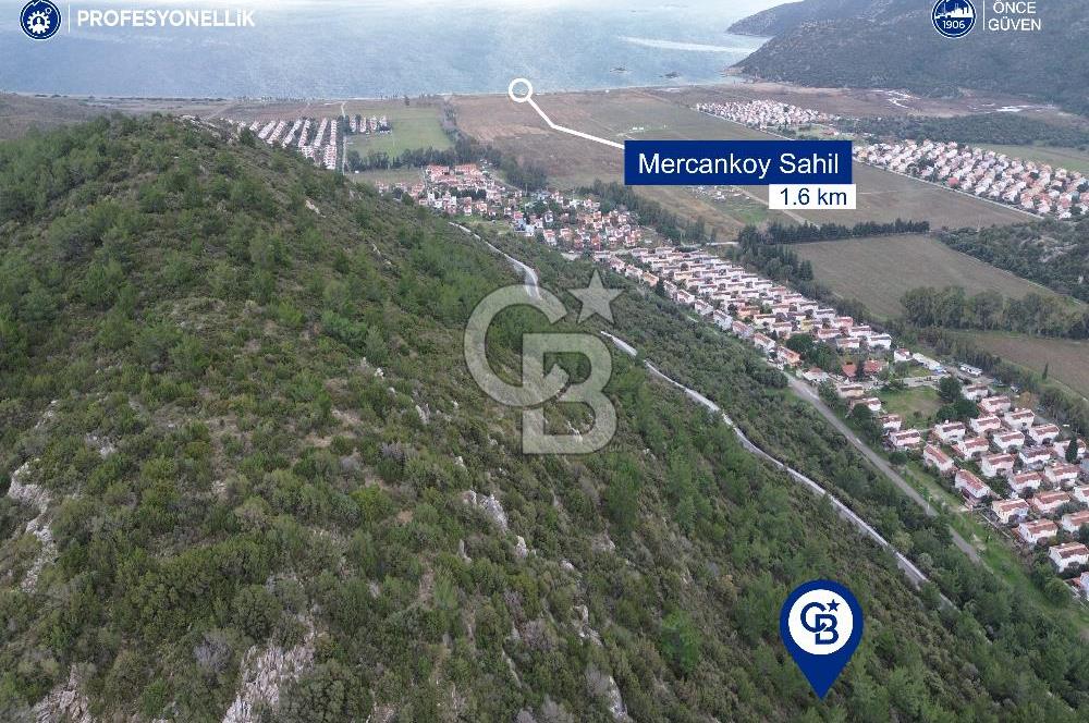 Karaburun Küçükbahçe'de Yerleşim Alanında 23.157 m2 Tarla