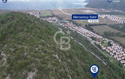 Karaburun Küçükbahçe'de Yerleşim Alanında 23.157 m2 Tarla