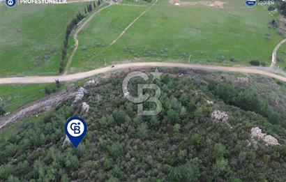 Karaburun Küçükbahçe'de Yerleşim Alanında 23.157 m2 Tarla