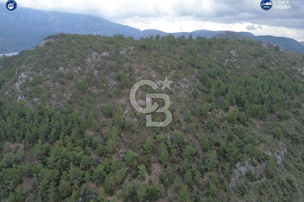 Karaburun Küçükbahçe'de Yerleşim Alanında 23.157 m2 Tarla