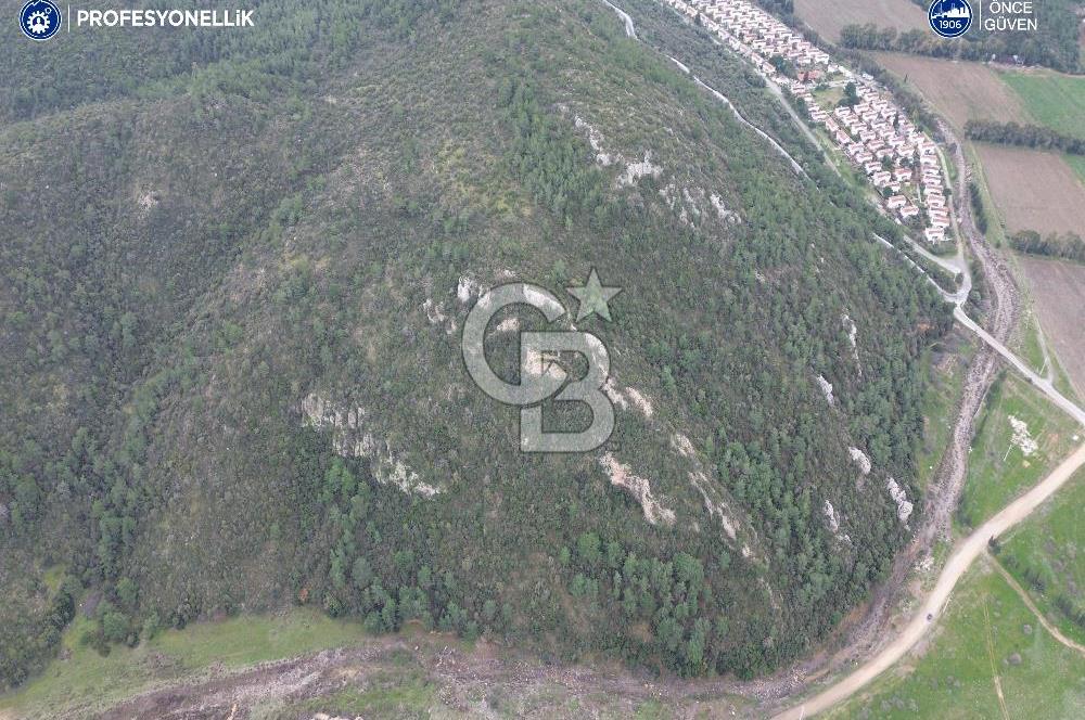 Karaburun Küçükbahçe'de Yerleşim Alanında 23.157 m2 Tarla