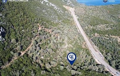 Karaburun Anbarseki 3168 m² Deniz Manzaralı Zeytin Ağaçlı Tarla