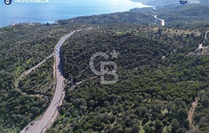 Karaburun Anbarseki 3168 m² Deniz Manzaralı Zeytin Ağaçlı Tarla