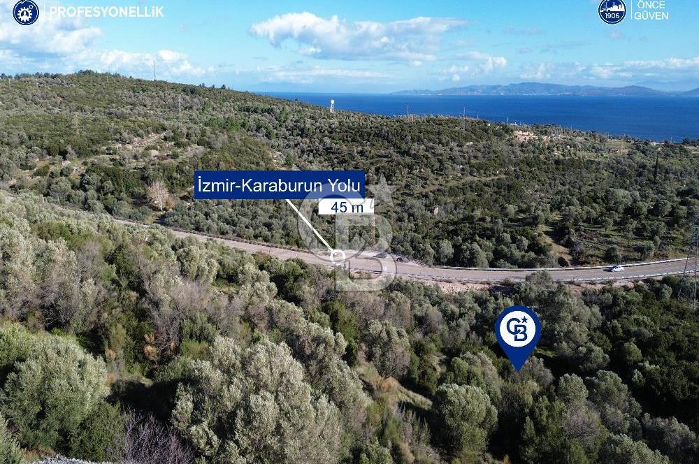 Karaburun Anbarseki 3168 m² Deniz Manzaralı Zeytin Ağaçlı Tarla