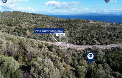Karaburun Anbarseki 3168 m² Deniz Manzaralı Zeytin Ağaçlı Tarla
