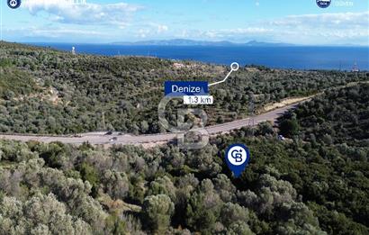 Karaburun Anbarseki 3168 m² Deniz Manzaralı Zeytin Ağaçlı Tarla