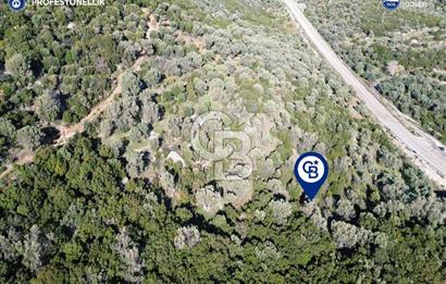 Karaburun Anbarseki 3168 m² Deniz Manzaralı Zeytin Ağaçlı Tarla