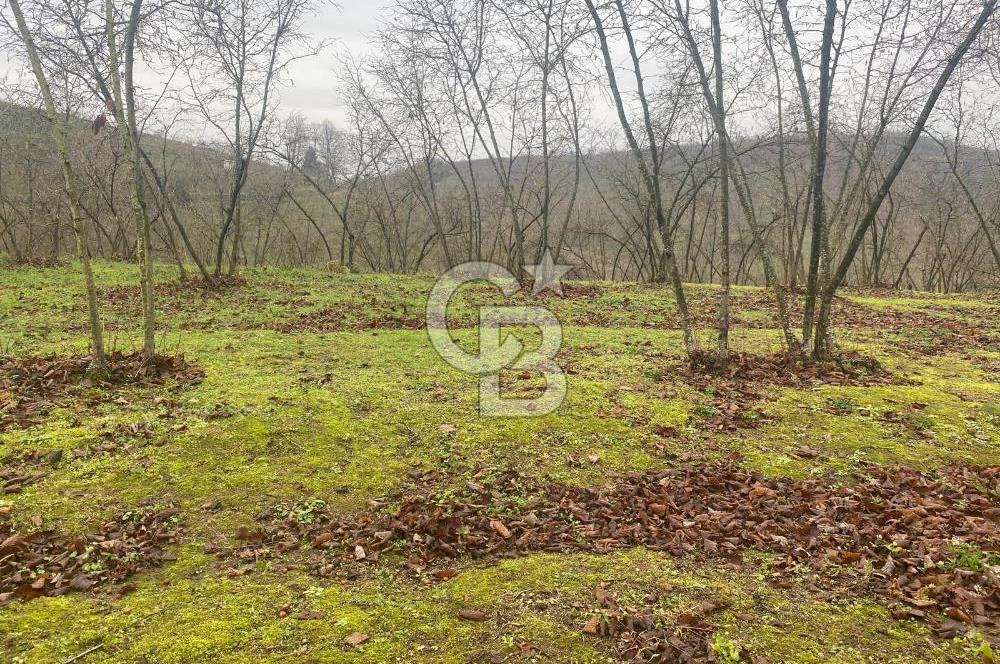HENDEK ÇOBANYATAK KÖYÜNDE SATILIK 10,345 M2 ARSA, EV & FINDIKLIK