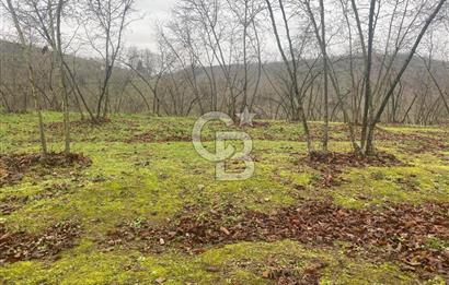 HENDEK ÇOBANYATAK KÖYÜNDE SATILIK 10,345 M2 ARSA, EV & FINDIKLIK
