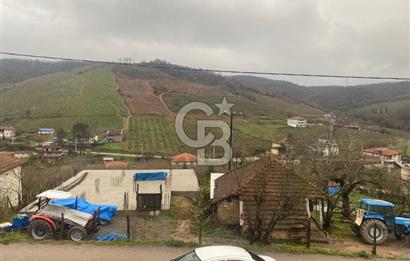 HENDEK ÇOBANYATAK KÖYÜNDE SATILIK 10,345 M2 ARSA, EV & FINDIKLIK