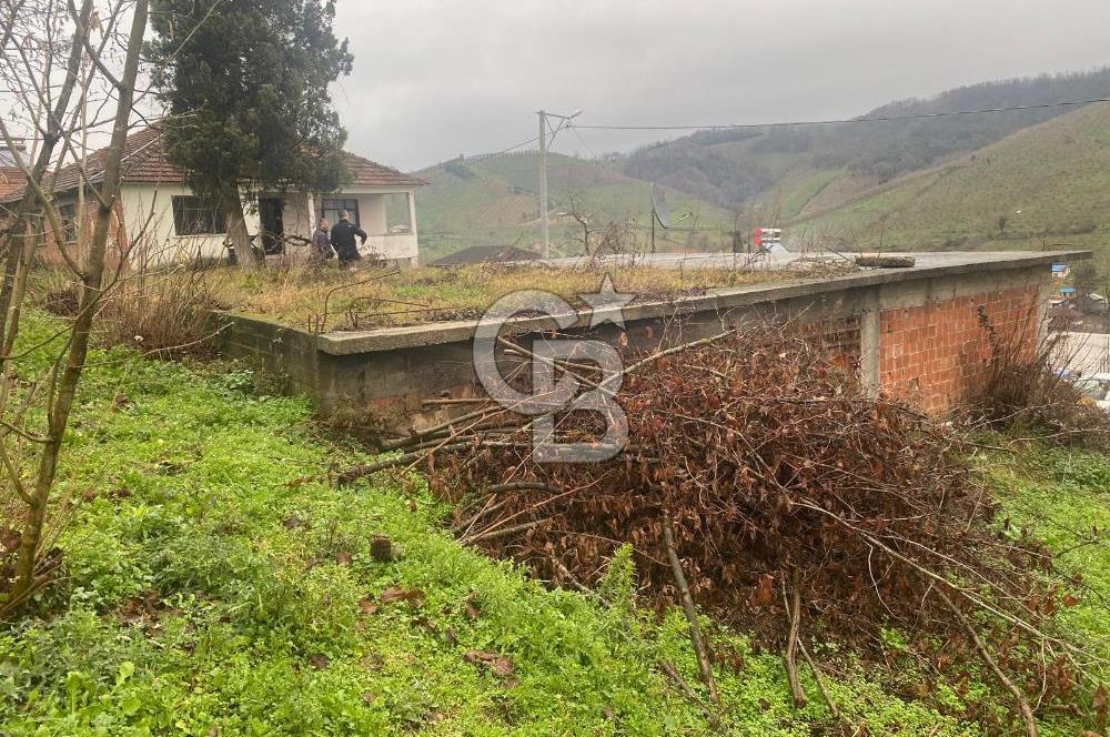 HENDEK ÇOBANYATAK KÖYÜNDE SATILIK 10,345 M2 ARSA, EV & FINDIKLIK