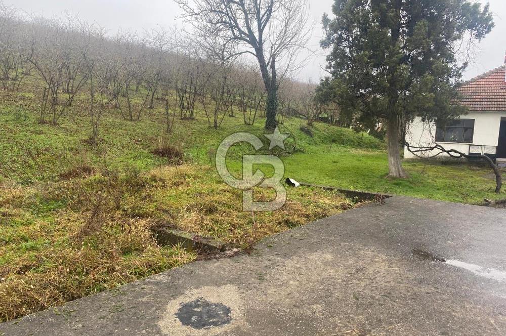 HENDEK ÇOBANYATAK KÖYÜNDE SATILIK 10,345 M2 ARSA, EV & FINDIKLIK
