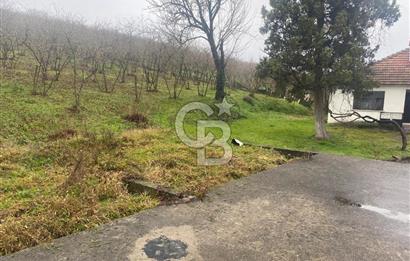 HENDEK ÇOBANYATAK KÖYÜNDE SATILIK 10,345 M2 ARSA, EV & FINDIKLIK
