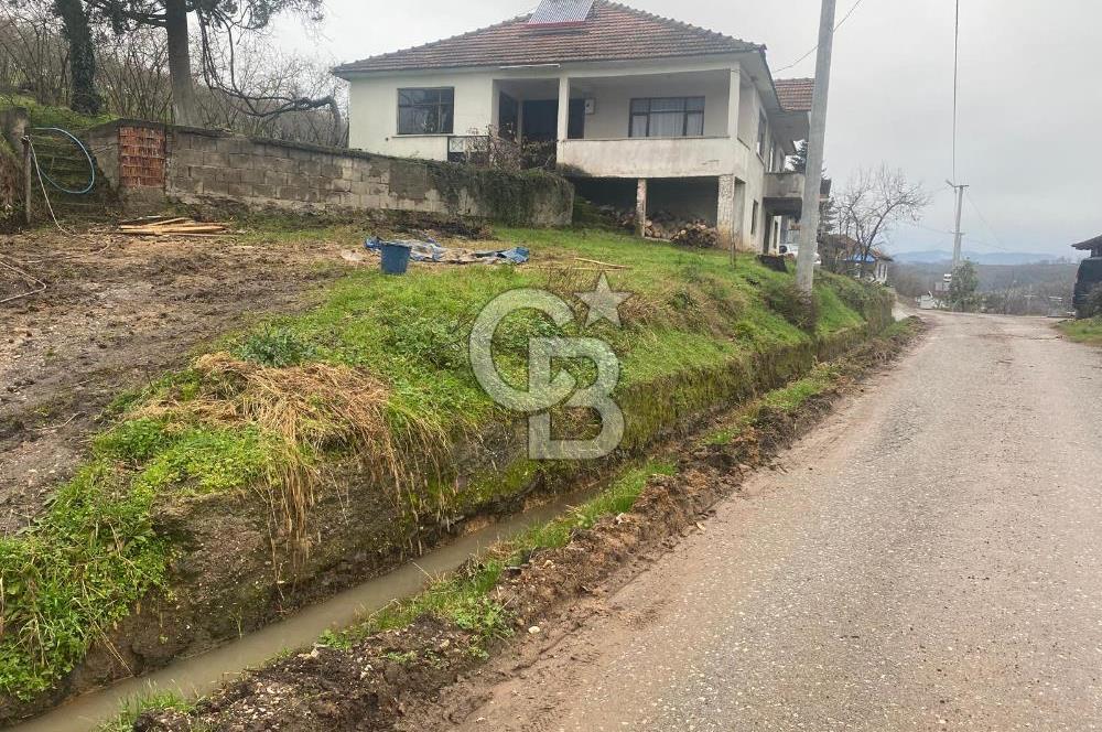 HENDEK ÇOBANYATAK KÖYÜNDE SATILIK 10,345 M2 ARSA, EV & FINDIKLIK