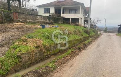 HENDEK ÇOBANYATAK KÖYÜNDE SATILIK 10,345 M2 ARSA, EV & FINDIKLIK