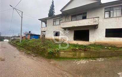 HENDEK ÇOBANYATAK KÖYÜNDE SATILIK 10,345 M2 ARSA, EV & FINDIKLIK
