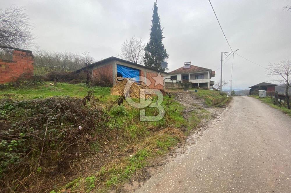 HENDEK ÇOBANYATAK KÖYÜNDE SATILIK 10,345 M2 ARSA, EV & FINDIKLIK