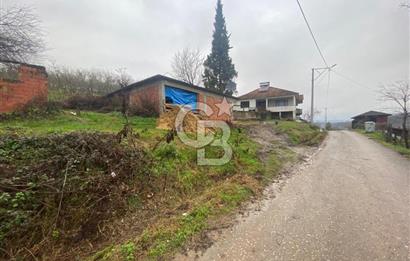 HENDEK ÇOBANYATAK KÖYÜNDE SATILIK 10,345 M2 ARSA, EV & FINDIKLIK