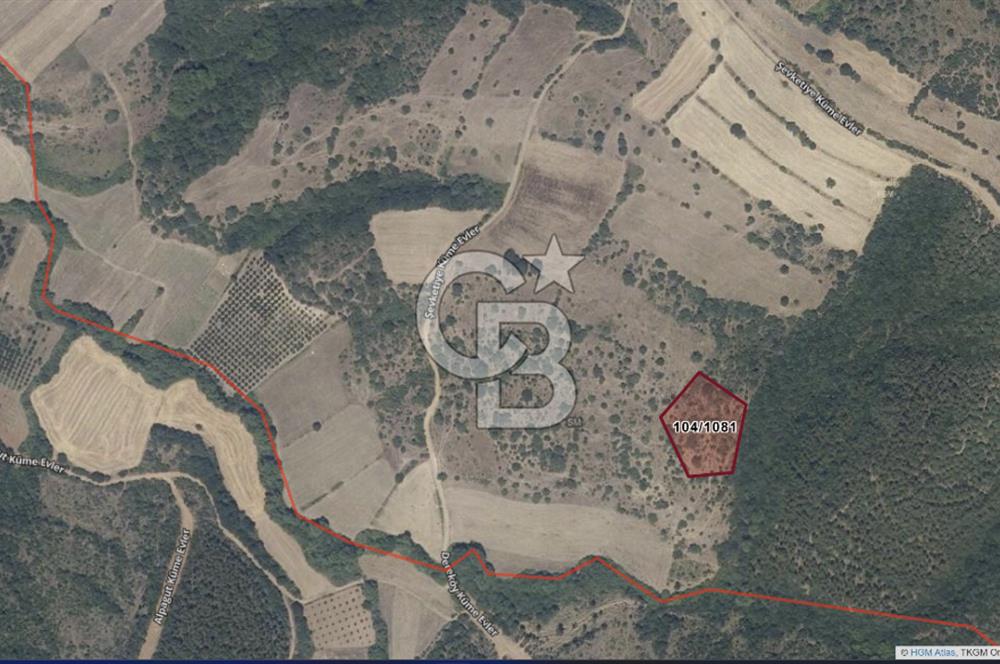 ÇANAKKALE LAPSEKİ ŞEVKETİYE'DE SATILIK ARAZİ 