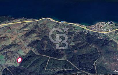 ÇANAKKALE LAPSEKİ ŞEVKETİYE'DE SATILIK ARAZİ 