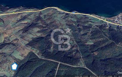 ÇANAKKALE LAPSEKİ ŞEVKETİYE'DE SATILIK ARAZİ 