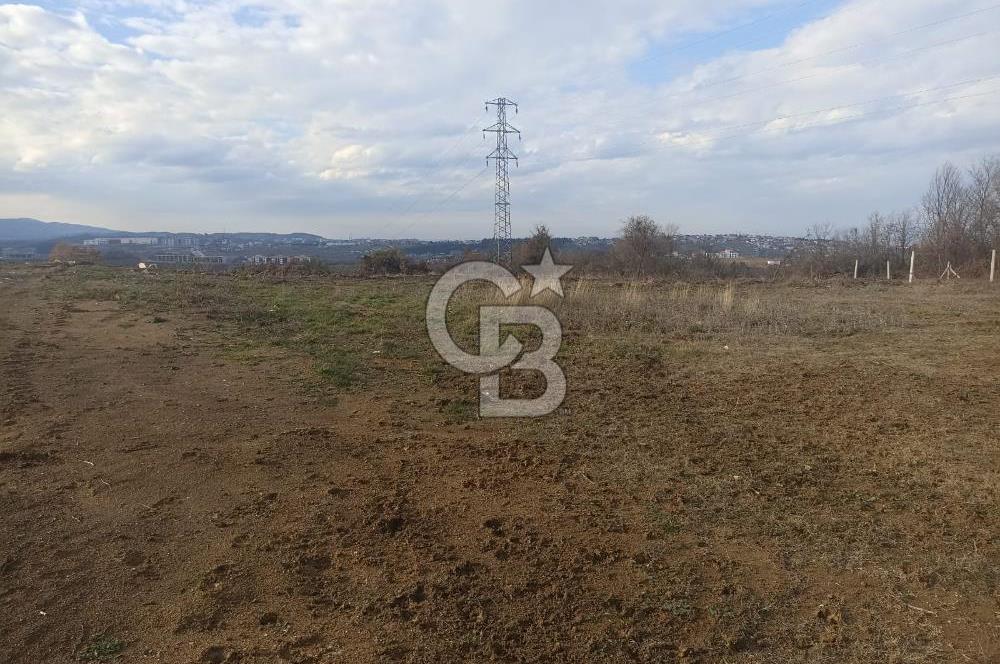 YALOVA KAZIMİYE DE KAPANMAZ DENİZ MANZARALI 473 MK ARSA