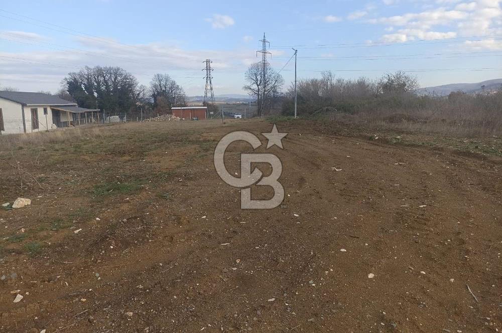 YALOVA KAZIMİYE DE KAPANMAZ DENİZ MANZARALI 473 MK ARSA