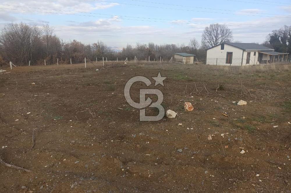 YALOVA KAZIMİYE DE KAPANMAZ DENİZ MANZARALI 473 MK ARSA