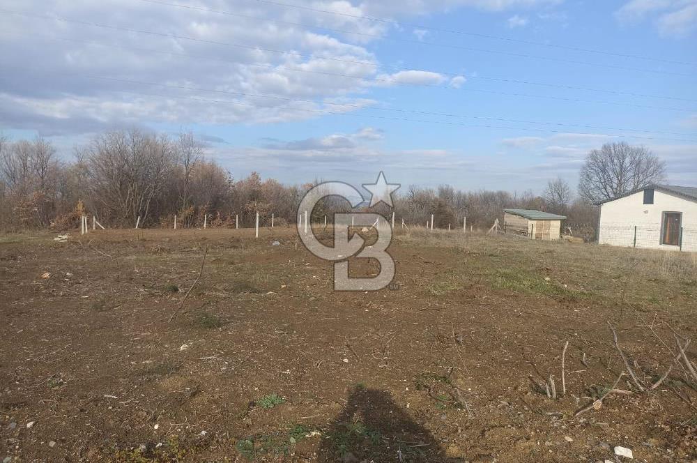 YALOVA KAZIMİYE DE KAPANMAZ DENİZ MANZARALI 473 MK ARSA
