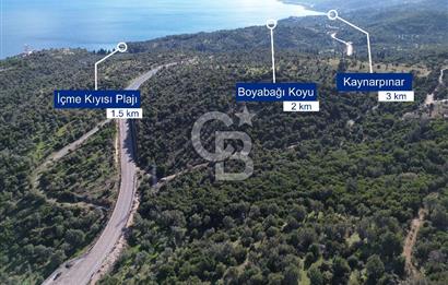 Karaburun Anbarseki 3168 m² Deniz Manzaralı Zeytin Ağaçlı Tarla