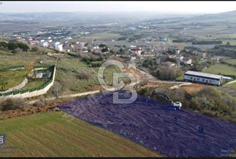 ÇATALCA'DA KESTANELİK'TE SATILIK TEK TAPU TARLA