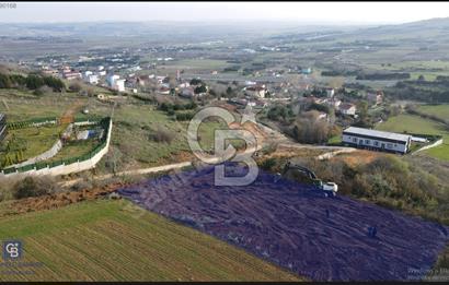 ÇATALCA'DA KESTANELİK'TE SATILIK TEK TAPU TARLA