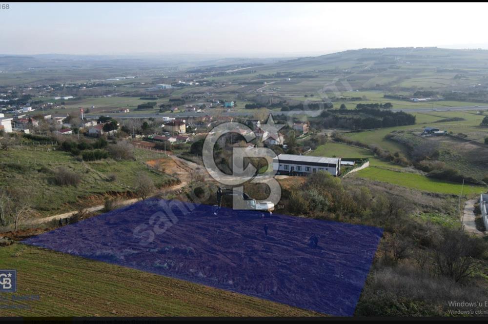 ÇATALCA'DA KESTANELİK'TE SATILIK TEK TAPU TARLA
