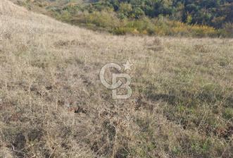 YALOVA ÇİFTLİKKÖY KABAKLI 8022 METREKARE SATILIK FIRSAT TARLA