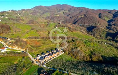 Sakarya Akyazı Şerefiye Köyü Satılık Villa