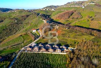 Sakarya Akyazı Şerefiye Köyü Satılık Villa
