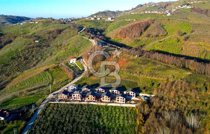 Sakarya Akyazı Şerefiye Köyü Satılık Villa