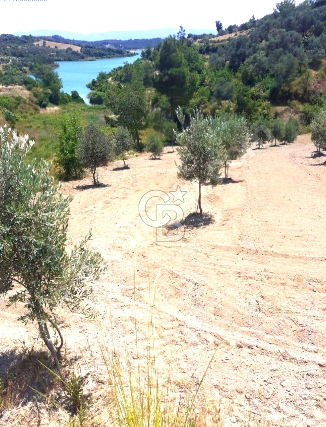 YAYLICA 'DA GÖLET MANZARALI TARLA