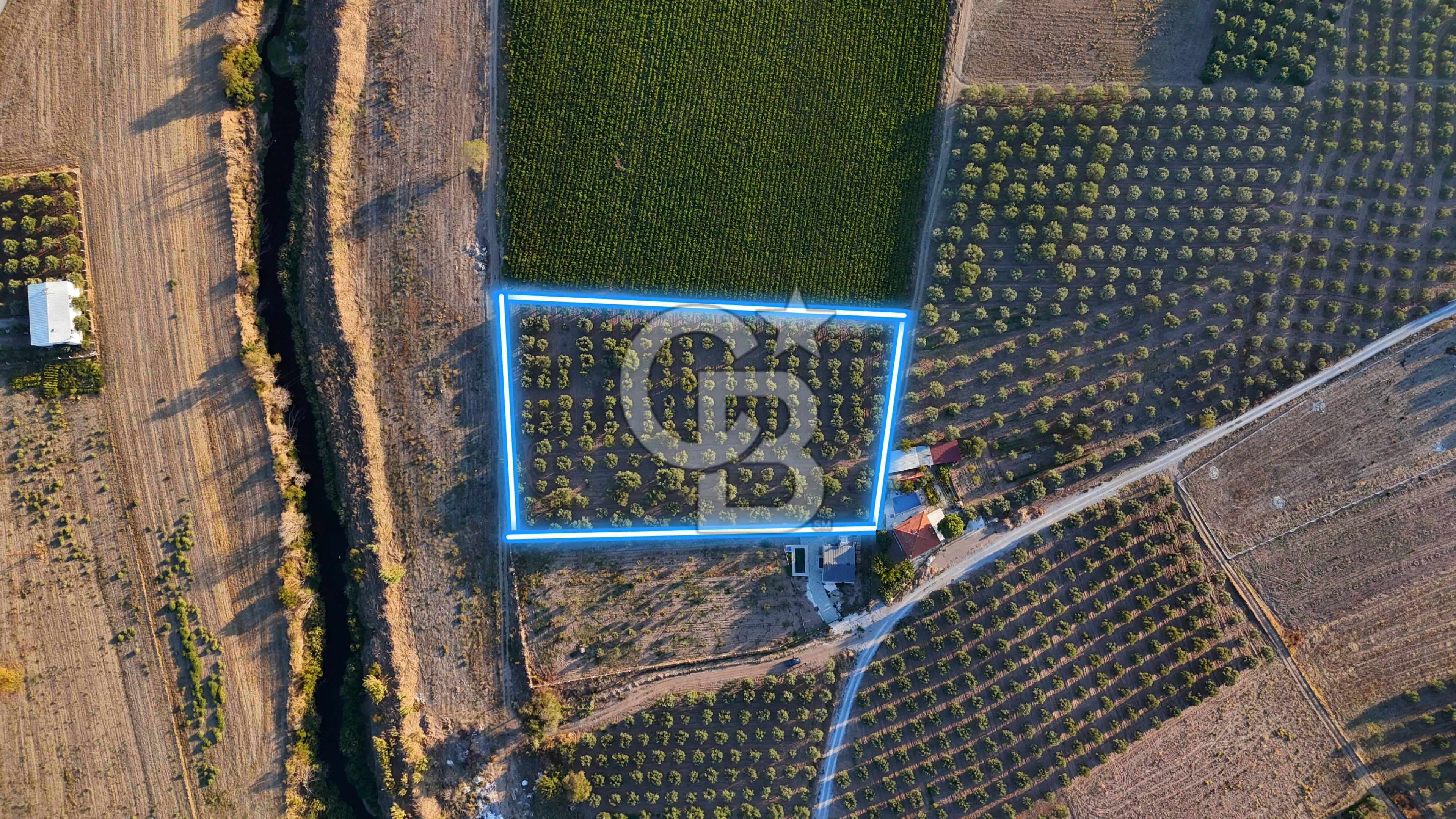 Manisa Akhisar'da Yatırımlık Uygun Fiyatlı Tarla