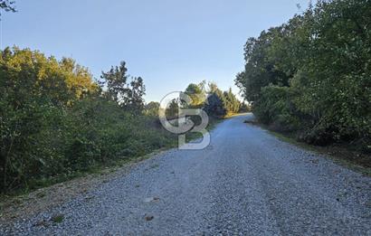 YALOVA ÇİFTLİKKÖY DENİZÇALI KÖYÜNDE SATILIK 6.208M2 