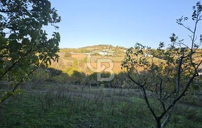 YALOVA ÇİFTLİKKÖY DENİZÇALI KÖYÜNDE SATILIK 6.208M2 