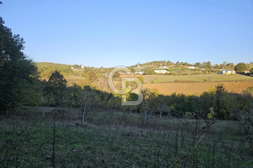YALOVA ÇİFTLİKKÖY DENİZÇALI KÖYÜNDE SATILIK 6.208M2 