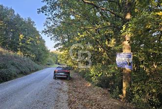 YALOVA ÇİFTLİKKÖY DENİZÇALI KÖYÜNDE SATILIK 6.208M2 