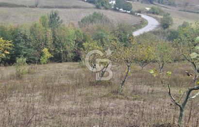 YALOVA ÇİFTLİKKÖY DENİZÇALI KÖYÜNDE SATILIK 6.208M2 