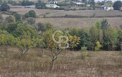 YALOVA ÇİFTLİKKÖY DENİZÇALI KÖYÜNDE SATILIK 6.208M2 