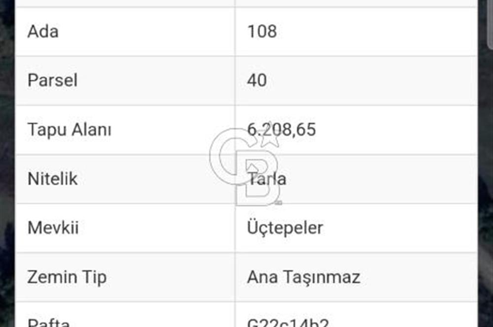 YALOVA ÇİFTLİKKÖY DENİZÇALI KÖYÜNDE SATILIK 6.208M2 