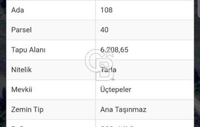 YALOVA ÇİFTLİKKÖY DENİZÇALI KÖYÜNDE SATILIK 6.208M2 