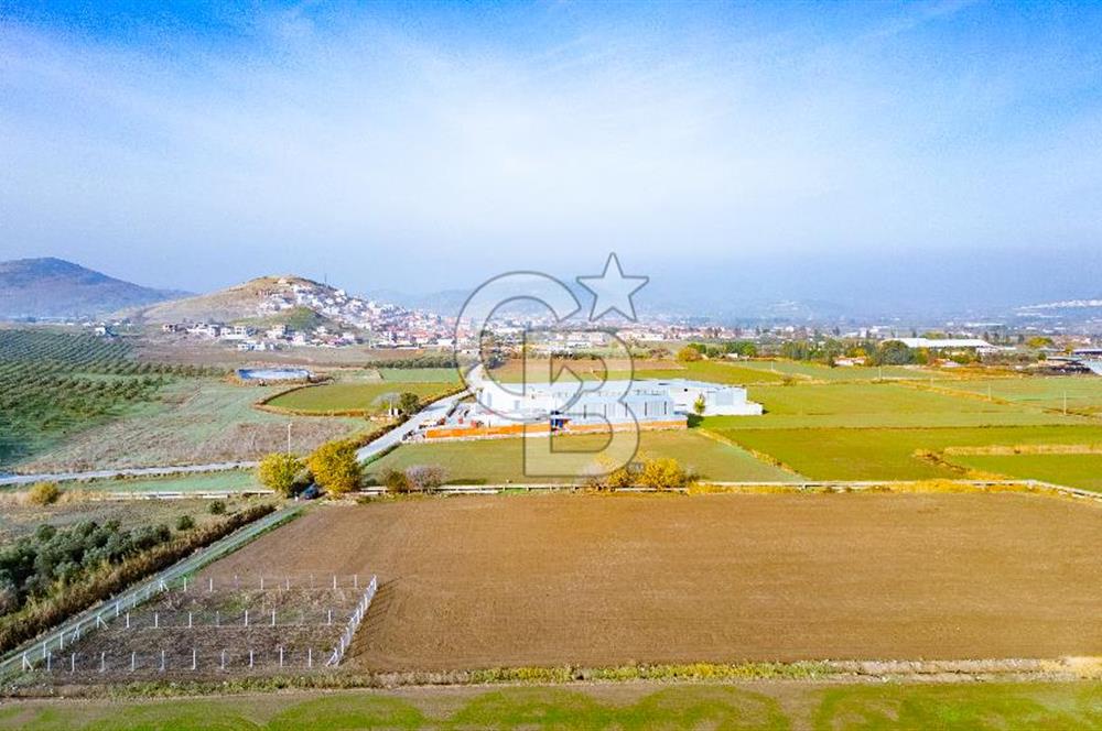 Bağarası Hacıveli Mahallesinde Satılık Tarla