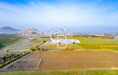 Bağarası Hacıveli Mahallesinde Satılık Tarla